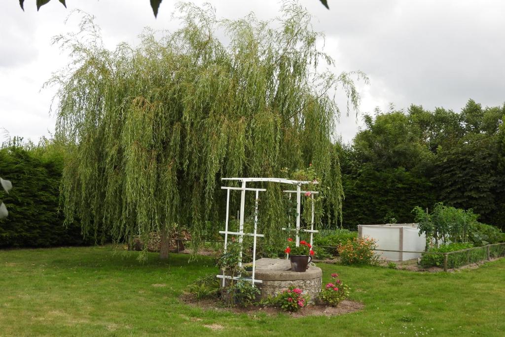 a weeping willow tree in a yard with a bird bath at Chambres d'Hotes Elvire et Laurent Barbey in Sainte-Marie-du-Mont