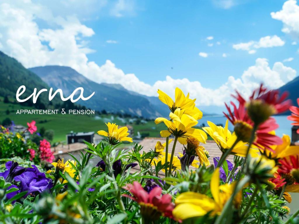 Pension Apartment Erna في ريسيا: حفنة من الزهور الملونة في ميدان