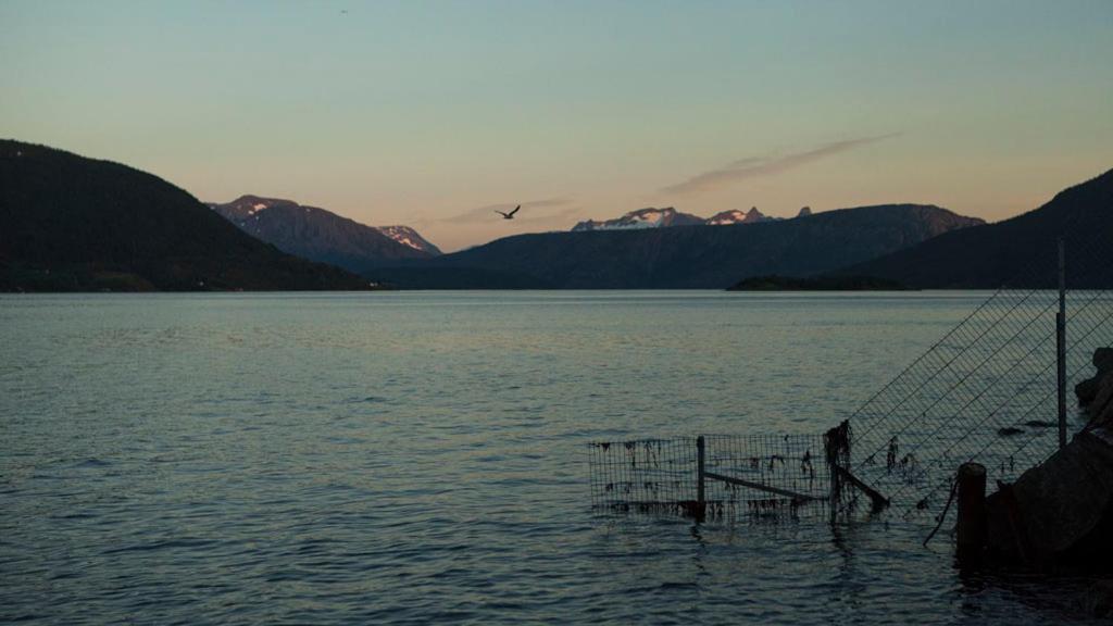 a boat on a lake with a bird flying over it at Stetind Hotel in Kjøpsvik