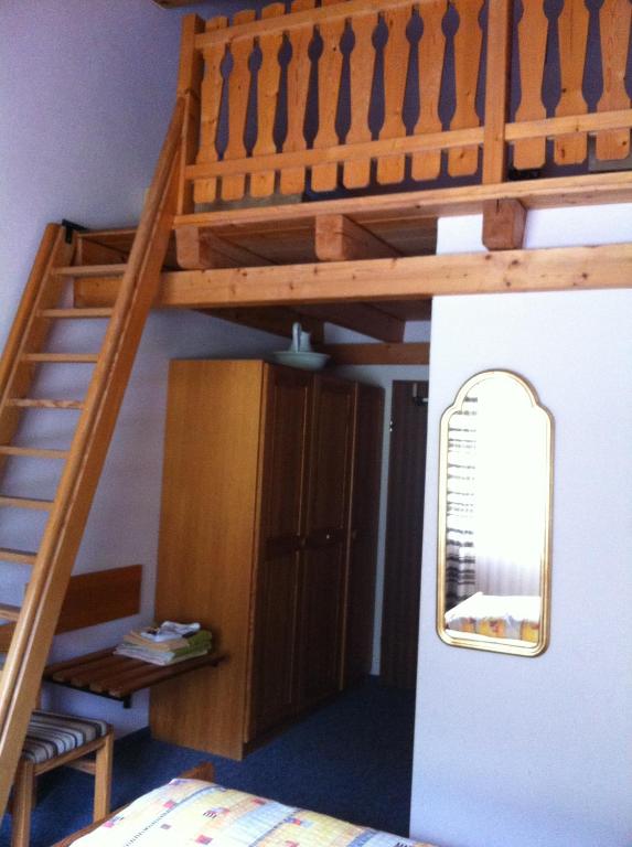 a bedroom with a bunk bed with a ladder at Hotel Pizzeria Selva in Zernez