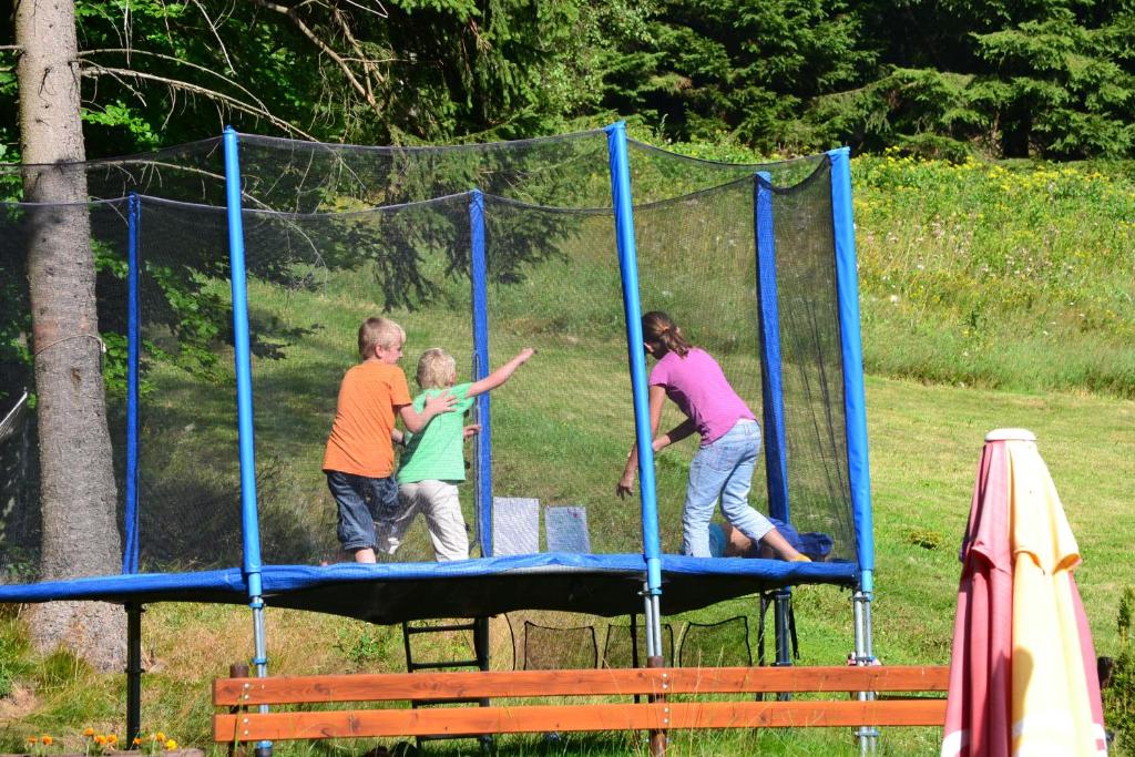 Hosté ubytování Pension Renata