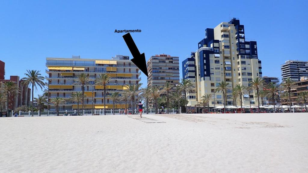 uma vista para uma praia com edifícios e palmeiras em Tortuga Flat em Alicante