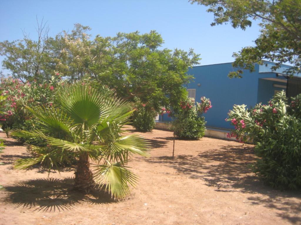 A garden outside casa blu