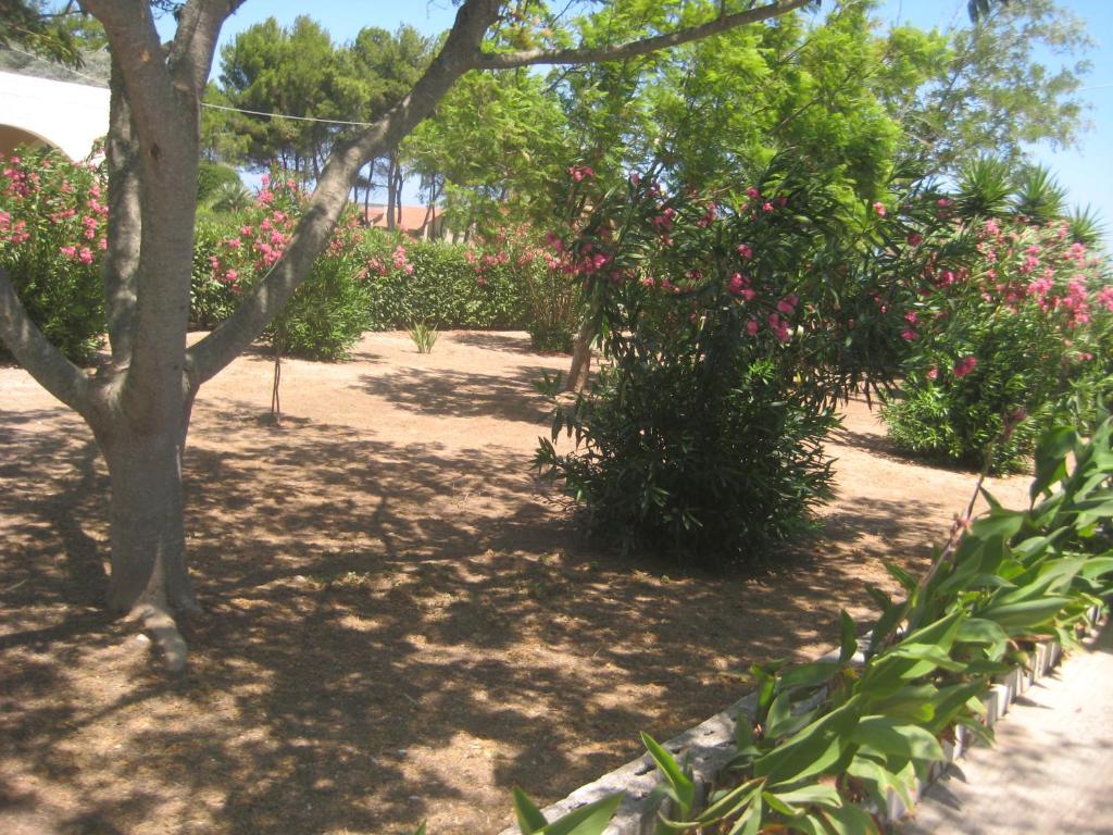 A garden outside casa blu