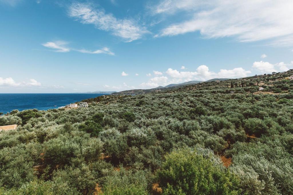 a view of a forest with the ocean in the background at Fexulis Studios & Suites in Agios Nikolaos