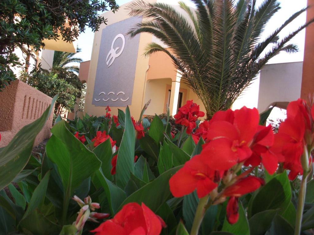 Zahrada ubytování Almyra Apartments & Suites
