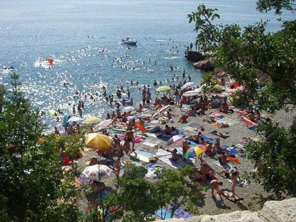 Príroda v okolí apartmánu
