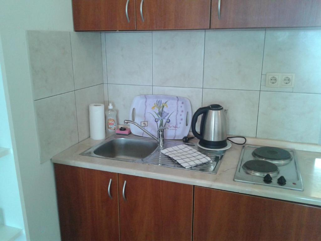 Kuchyňa alebo kuchynka v ubytovaní Apartments Boris