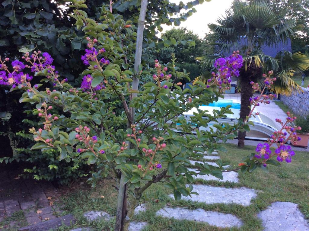 un pequeño árbol con flores púrpuras junto a una piscina en Demeure d'hôtes Les Irisynes, en Viviers-du-Lac