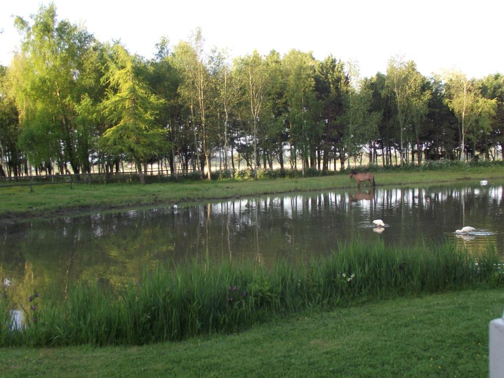 Příroda nedaleko bed and breakfast