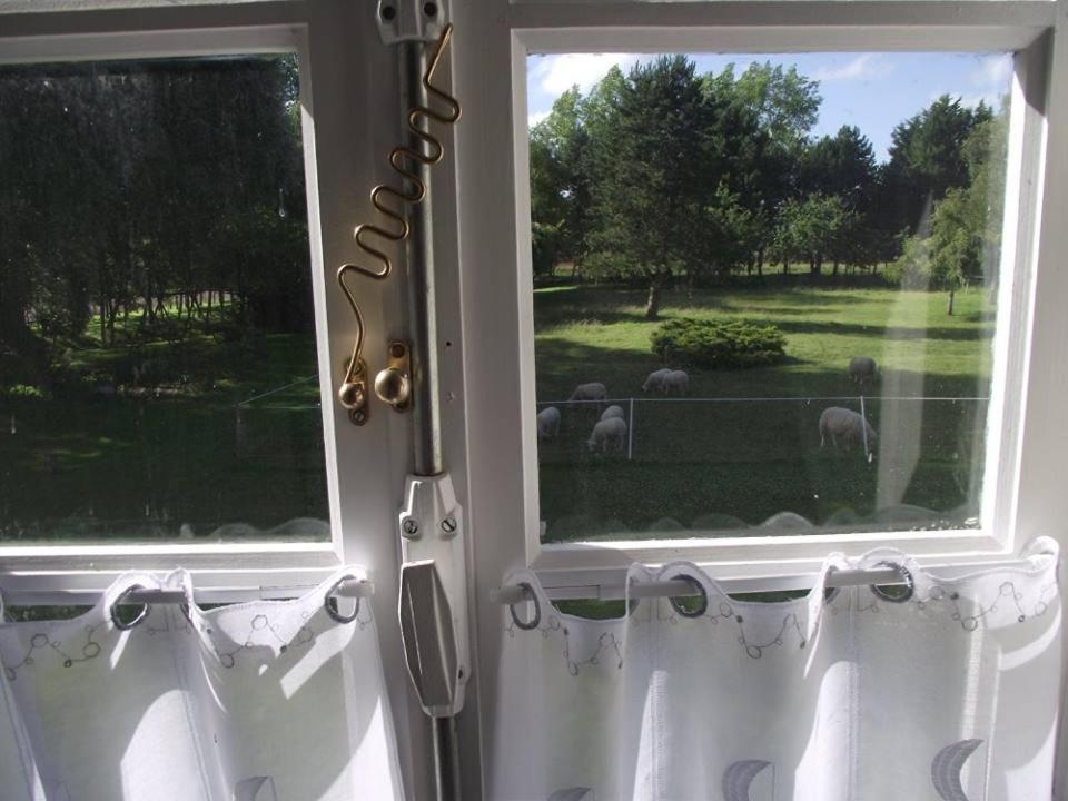 Zahrada ubytování Les Portes des Froises