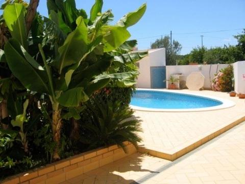 a swimming pool in a yard with a plant at Vilabranco in Albufeira