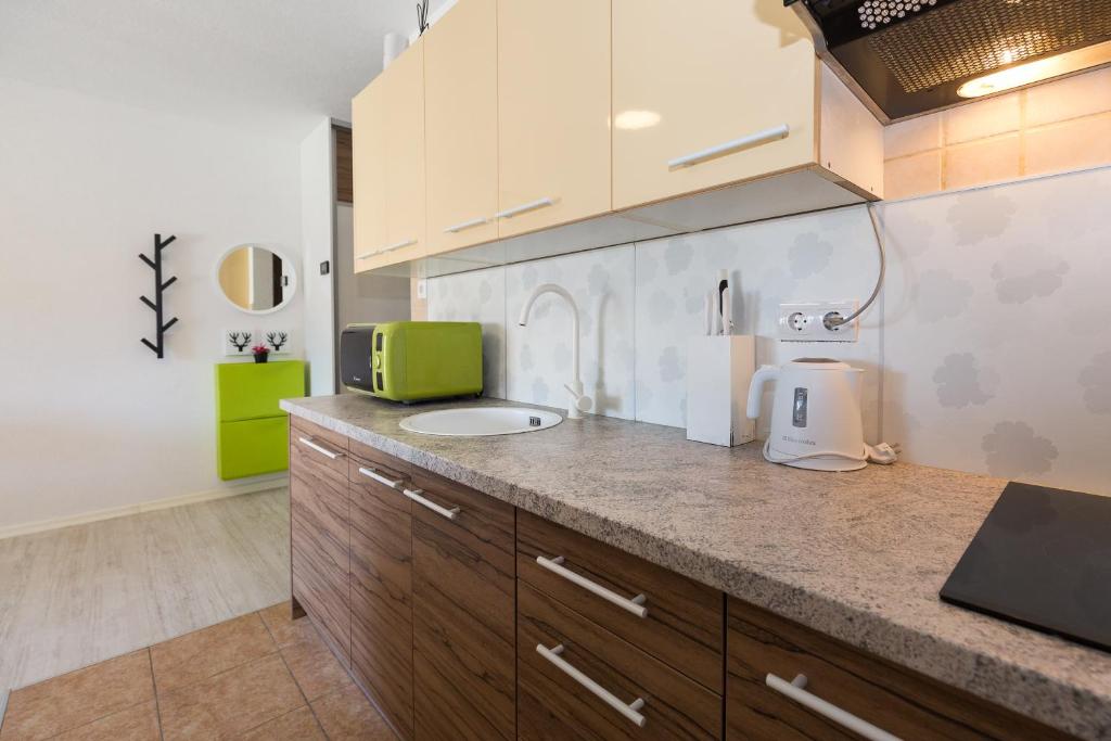 a kitchen with wooden cabinets and a counter top at Apartments & Rooms Laganini in Zaton