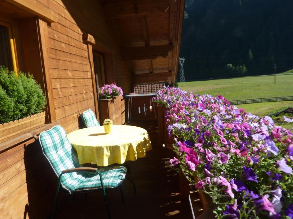 Zahrada ubytování Appartement Breitlehn