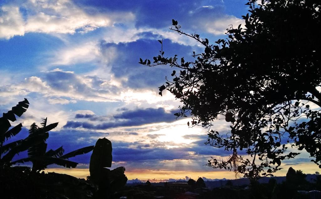 a view of a cloudy sky with a tree at Hostal Casa de Los Taitas in Salento