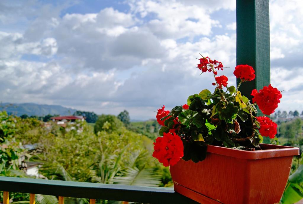 a pot of red flowers on a balcony with a view at Hostal Casa de Los Taitas in Salento