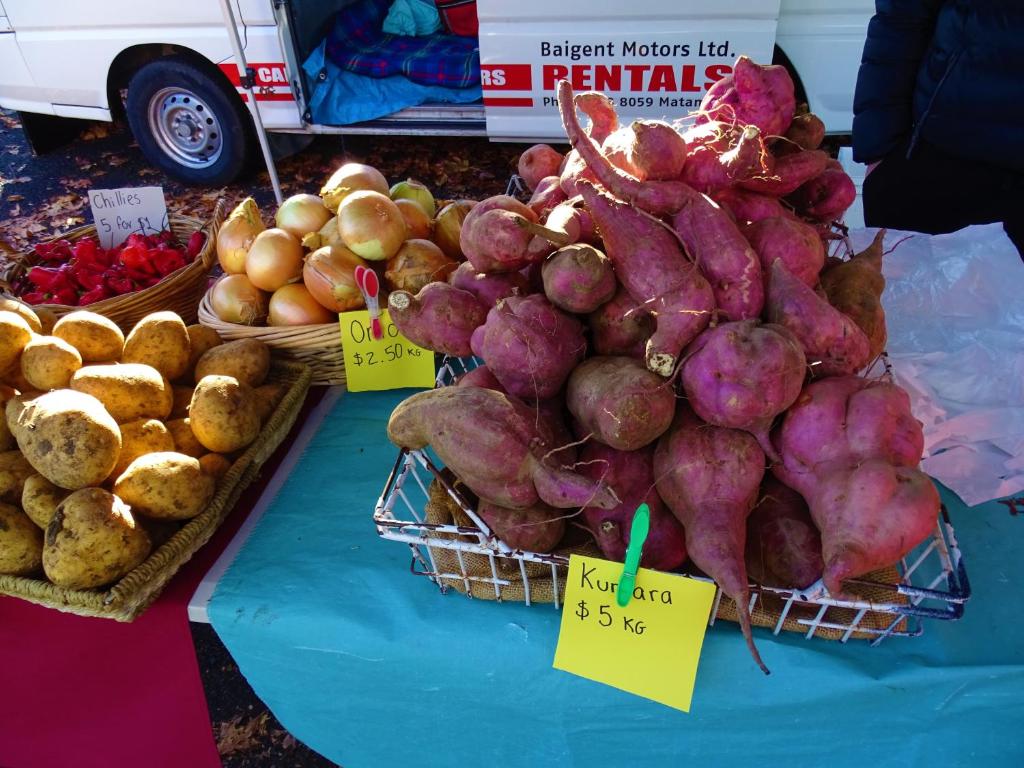 Argent Motor Lodge - Resim 28