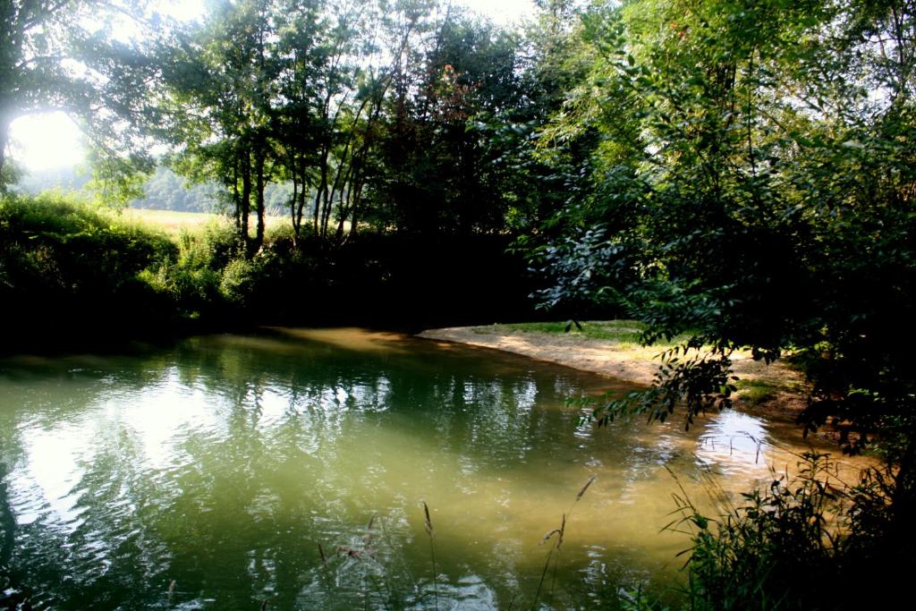 Příroda nedaleko penzionu