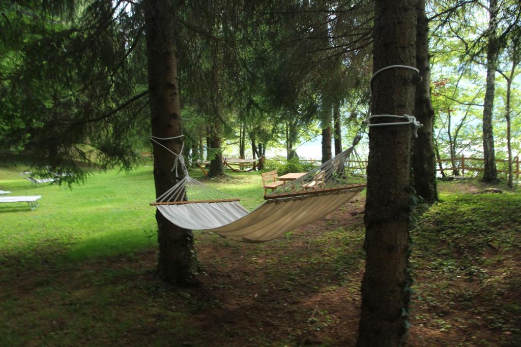 Příroda nedaleko hotelu