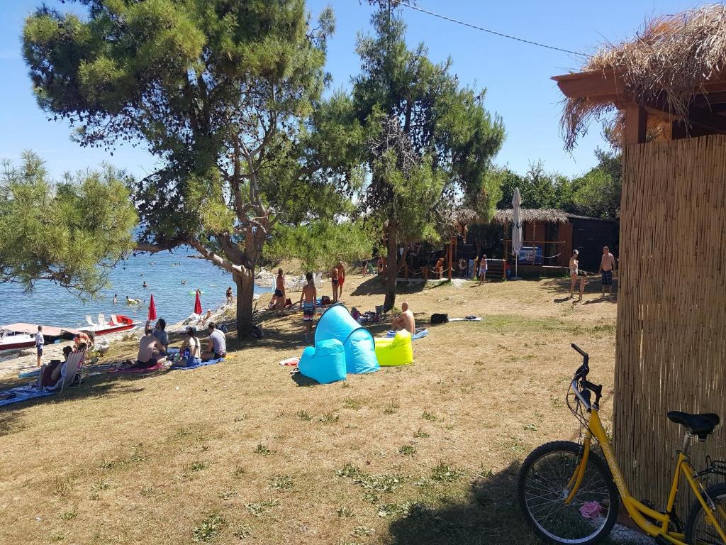 Příroda nedaleko apartmánu