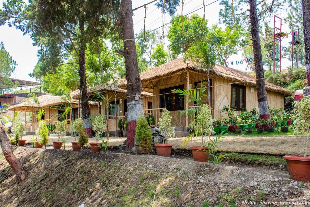a house with trees in front of it at Nainital Adventure Park & Resort in Nainital