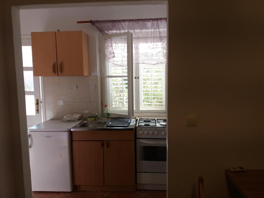 Kuchyň nebo kuchyňský kout v ubytování Apartman Matić