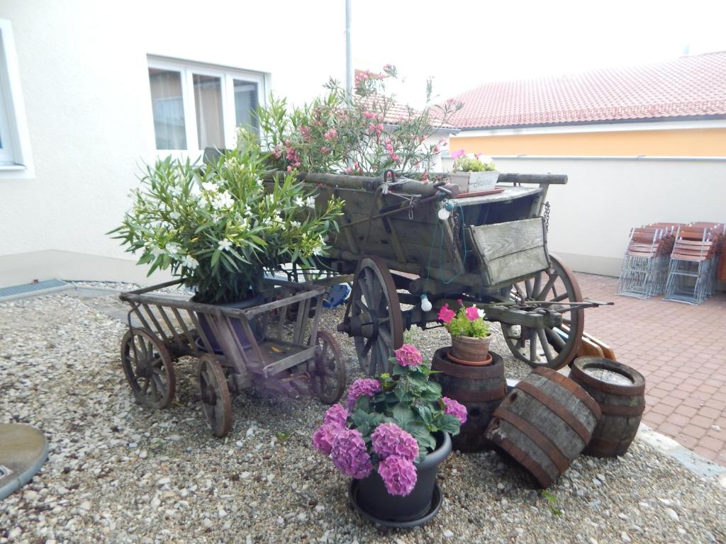 Zahrada ubytování Hotel Alex
