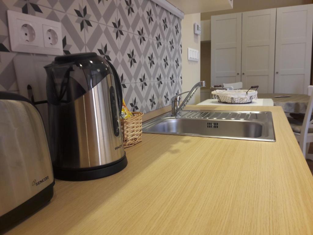 Kuchyňa alebo kuchynka v ubytovaní Orchidea Apartman Eger