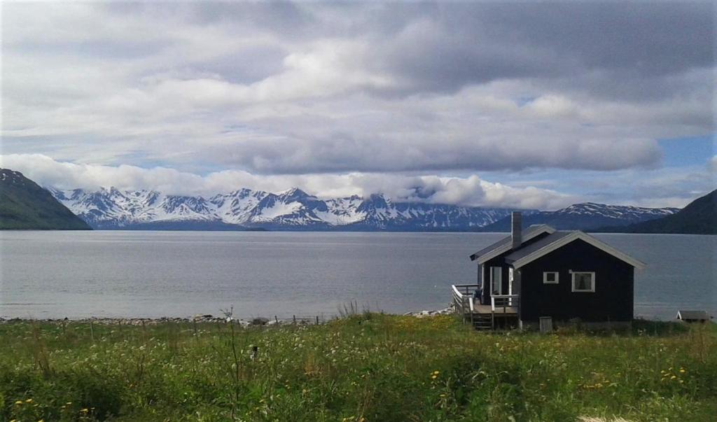 Burfjord的住宿－Arctic FjordCamp，湖岸上的房子,有积雪覆盖的山脉