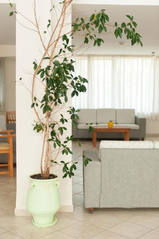 Posezení v ubytování Ageri Hotel