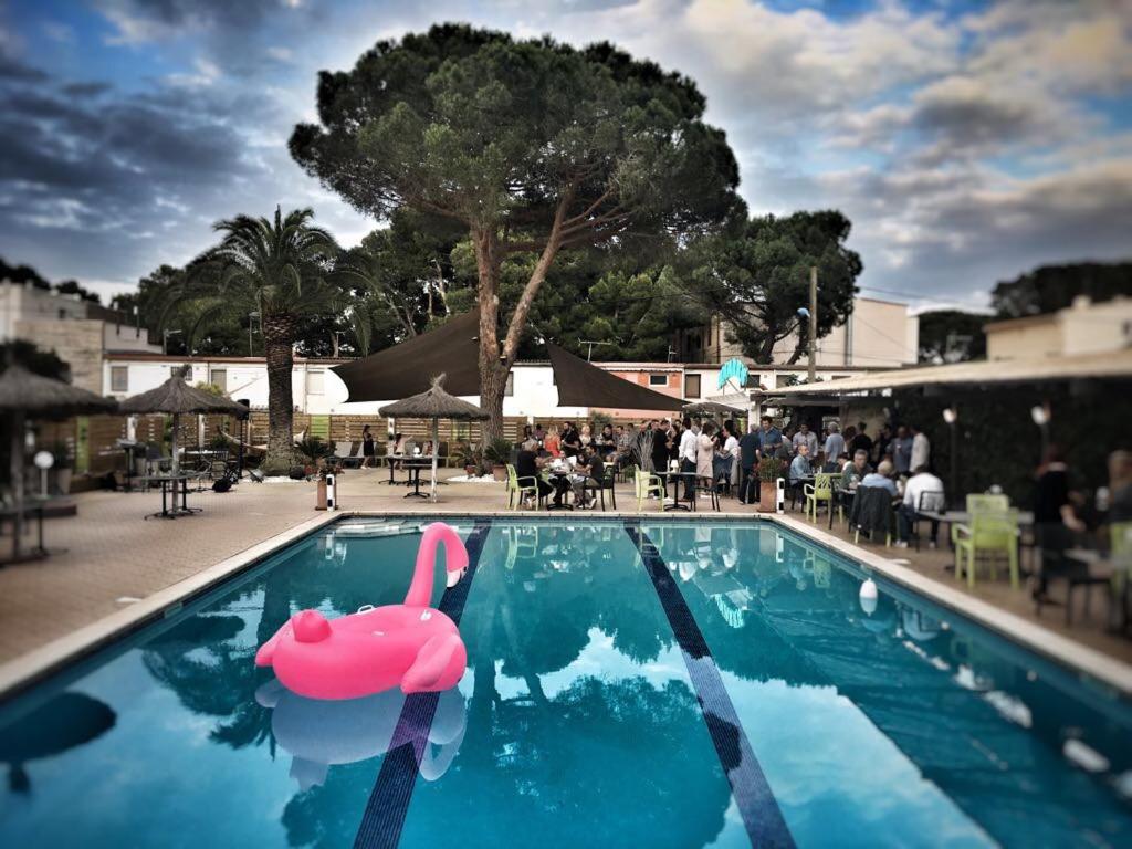 The swimming pool at or close to Hotel Aquarius