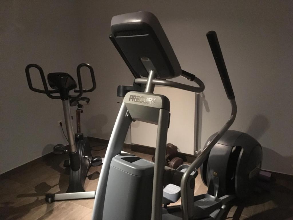 Fitness centrum a/nebo fitness zařízení v ubytování Hotel Kristall