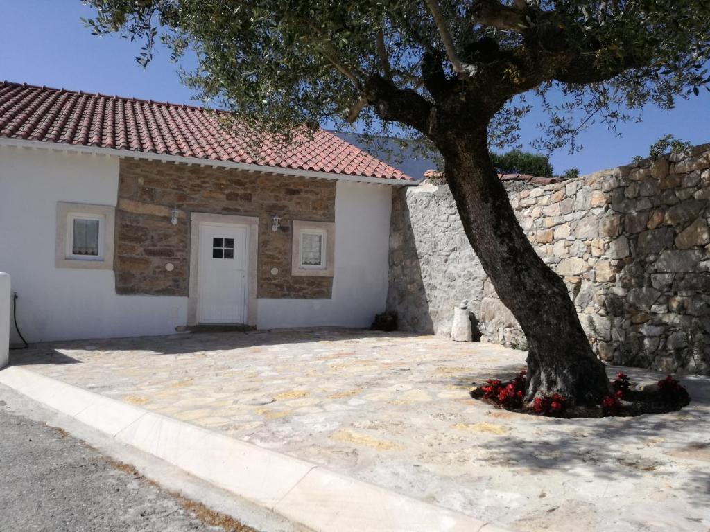 una casa con un árbol y una pared de piedra en Casa da Figueirinha en Casais dos Monizes
