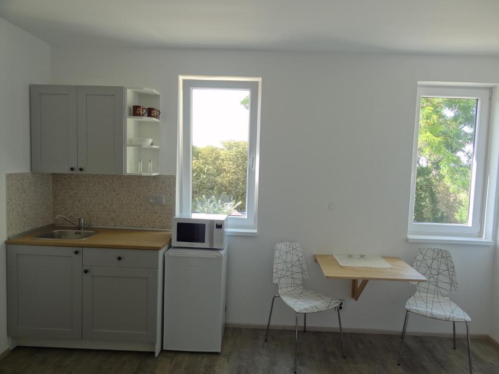 Kuchyň nebo kuchyňský kout v ubytování Apartmány Starovice