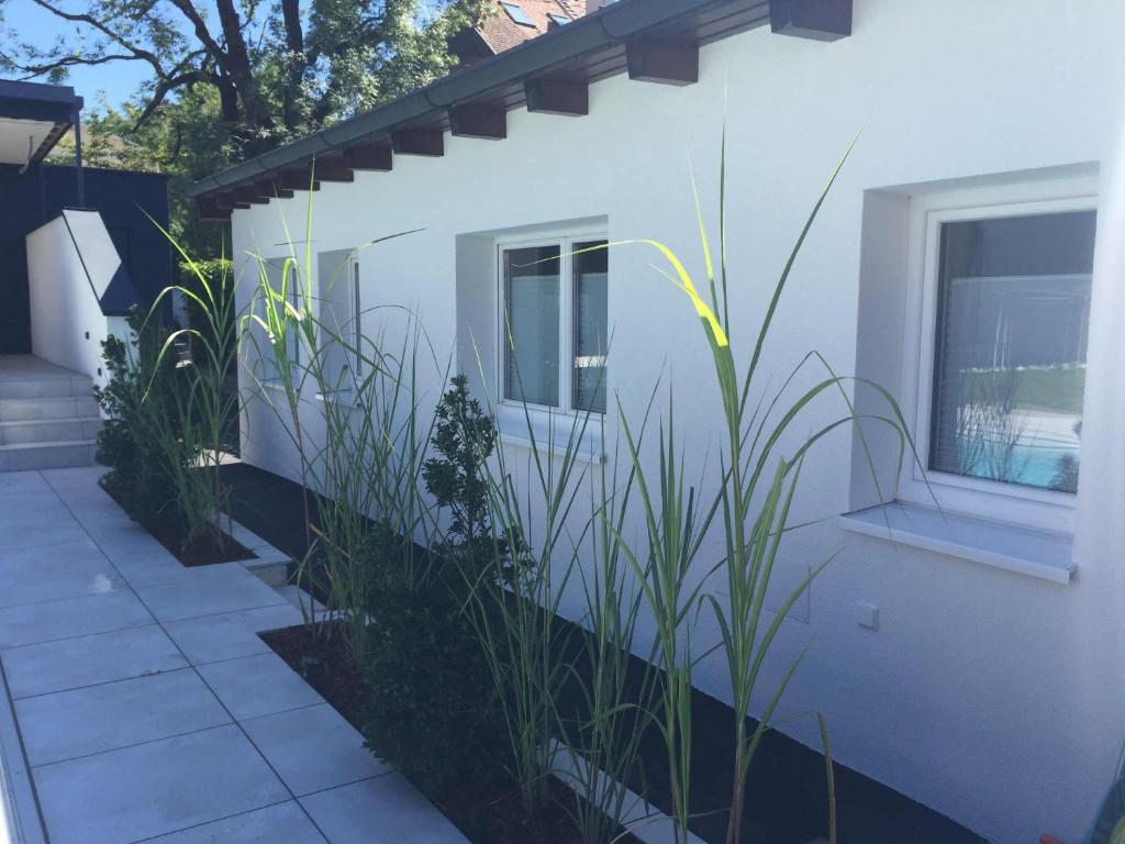 Apartment Bianca - 19