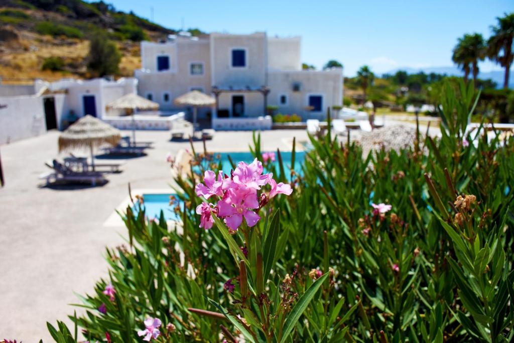 une brousse avec des fleurs roses en face d'une plage dans l'établissement Paradise Apartments Studios, à Mylopotas