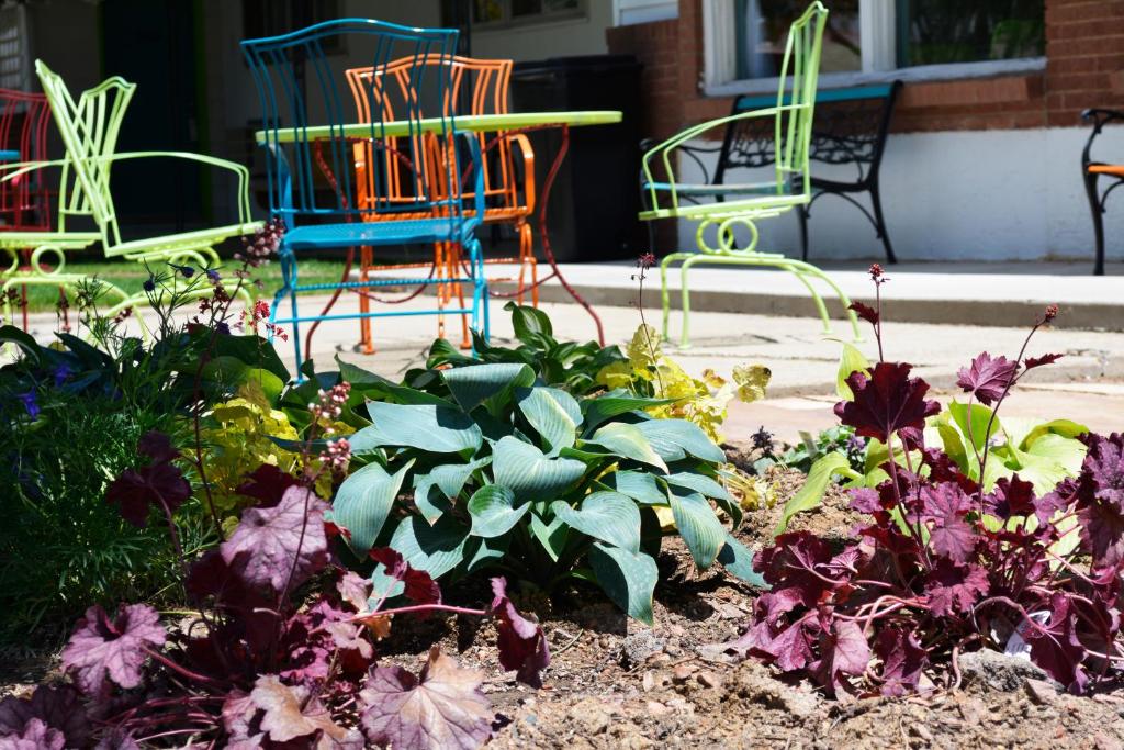 a garden with colorful chairs and plants and flowers at Retro Inn at Mesa Verde in Cortez