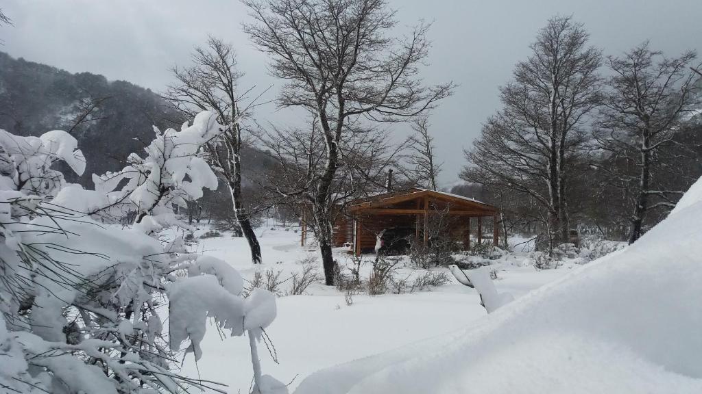 una cabaña en la nieve con árboles nevados en Cabañas Tunquelen Malalcahuello, en Malalcahuello