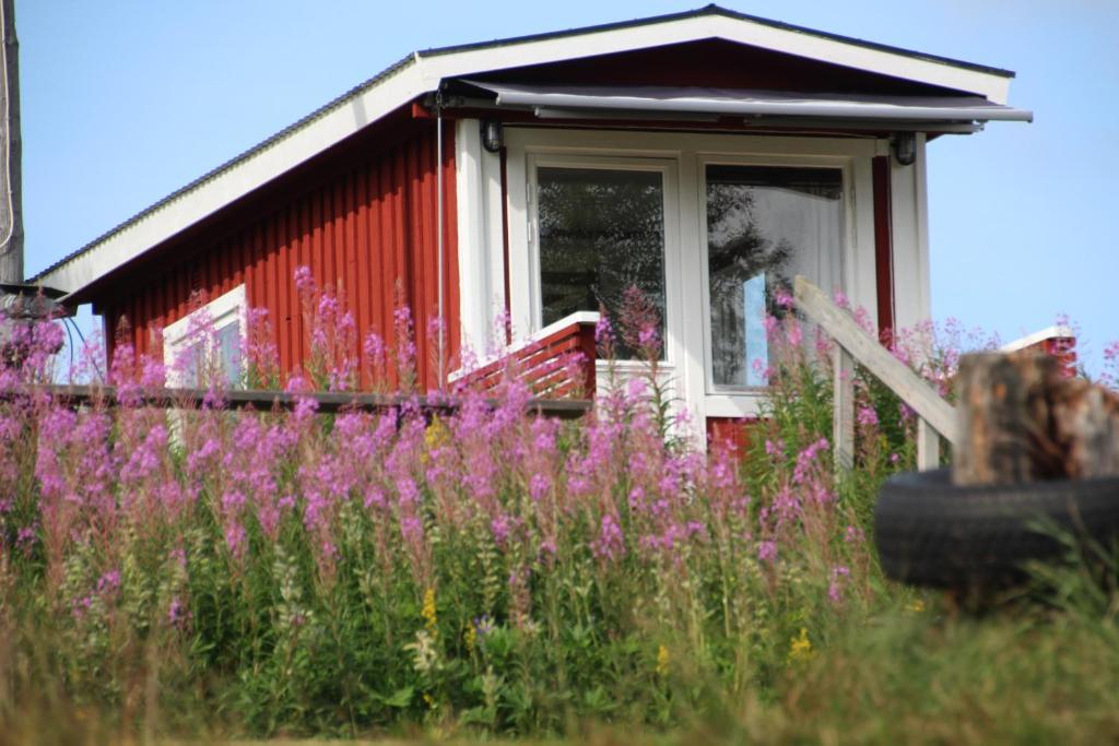Zahrada ubytování Björkebo Camping