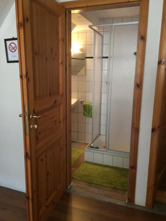 a door leading into a bathroom with a shower at Zirndorf Gästehaus in Zirndorf