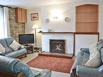 a living room with two couches and a fireplace at Pleasant Maris in Highweek