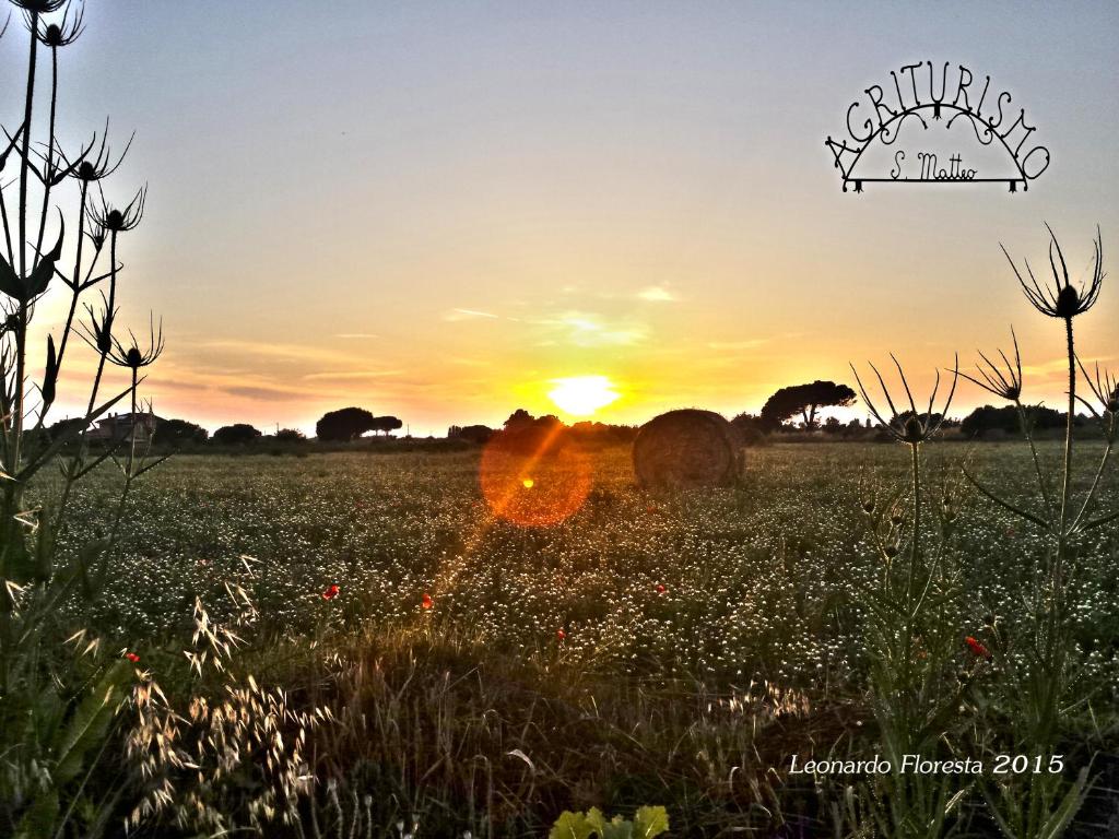 un coucher de soleil dans un champ avec des balles de foin dans l'établissement Agriturismo San Matteo, à Tarquinia
