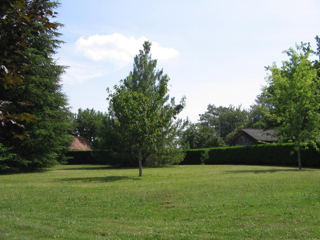 drzewo pośrodku pola trawy w obiekcie Gîte du Brugayrou w mieście Gourdon