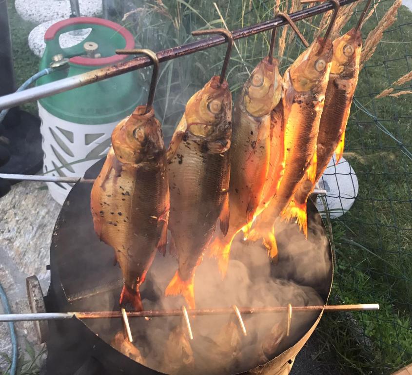 Gril dostupný pro hosty v penzionu
