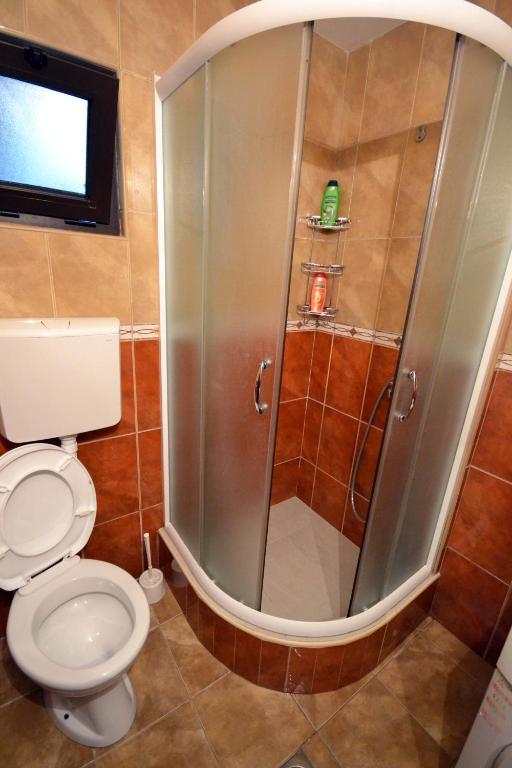 a bathroom with a shower with a toilet and a window at Apartments Dionis in Kotor
