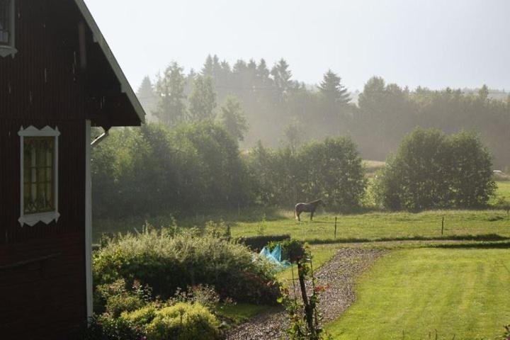 Zahrada ubytování Björka Storgård B&B
