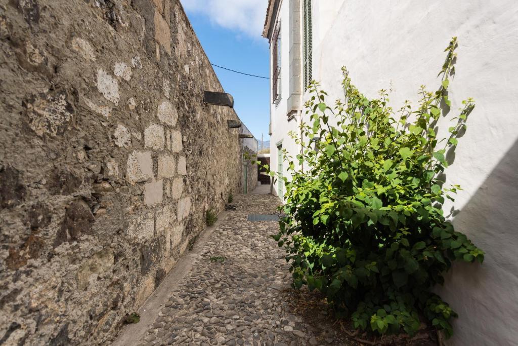 Fotografie z fotogalerie ubytování Villa Hacienda de la Guirra v destinaci Tafira