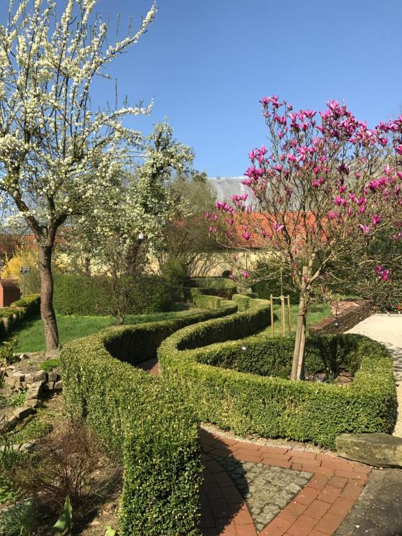 a garden with bushes and trees with pink flowers at Ferienwohnungen Maedchen in Wunstorf