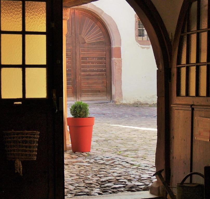 Les Ambrades Riquewihr – photo 29