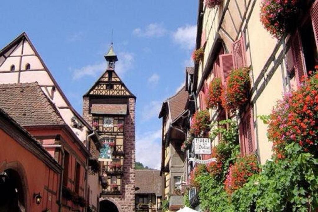 Les Ambrades Riquewihr – photo 31